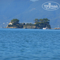 фото из отзыва ID 1537065