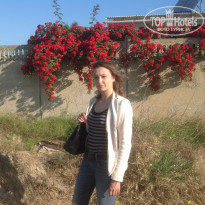 фото из отзыва ID 1537192