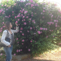 фото из отзыва ID 1537192