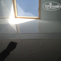 фото из отзыва ID 1537192