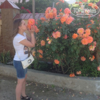 фото из отзыва ID 1537192