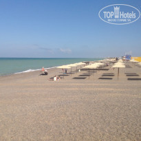 фото из отзыва ID 1537192