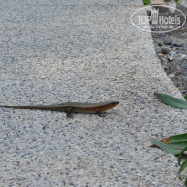 фото из отзыва ID 1537243