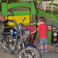 фото из отзыва ID 1537243