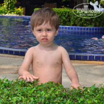 фото из отзыва ID 1537243