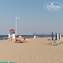 фото из отзыва ID 1537054