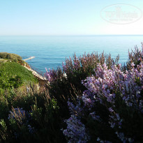 фото из отзыва ID 1538063