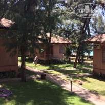 фото из отзыва ID 1538191