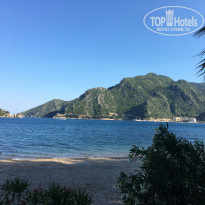 фото из отзыва ID 1538206