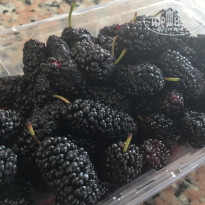 фото из отзыва ID 1538206