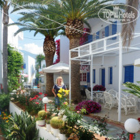 фото из отзыва ID 1537418