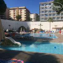 фото из отзыва ID 1538119