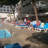 фото из отзыва ID 1538119