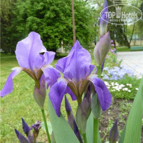 фото из отзыва ID 1538569