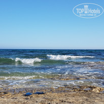 фото из отзыва ID 1538438