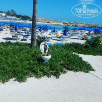 фото из отзыва ID 1538438