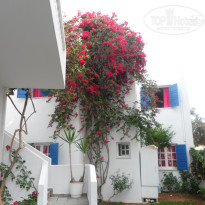 фото из отзыва ID 1538699