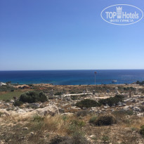 фото из отзыва ID 1538835