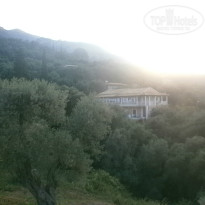 фото из отзыва ID 1538496