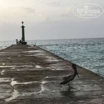 фото из отзыва ID 1539230