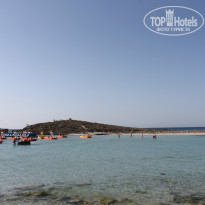 фото из отзыва ID 1537546