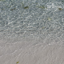 фото из отзыва ID 1537546