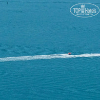 фото из отзыва ID 1539966