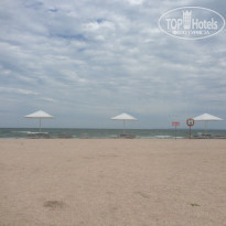 фото из отзыва ID 1539374