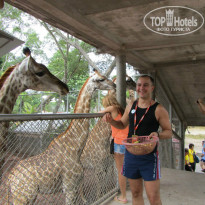 фото из отзыва ID 1539004