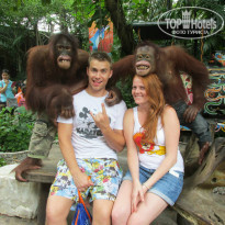 фото из отзыва ID 1539004