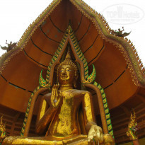 фото из отзыва ID 1539004