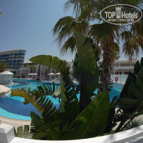 фото из отзыва ID 1539957