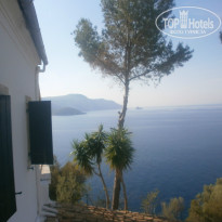 фото из отзыва ID 1538496