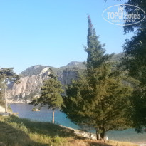 фото из отзыва ID 1538496