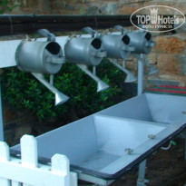 фото из отзыва ID 1537898