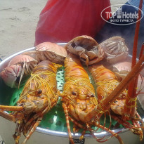 фото из отзыва ID 1532976