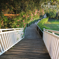 фото из отзыва ID 1536371