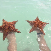 фото из отзыва ID 1533225