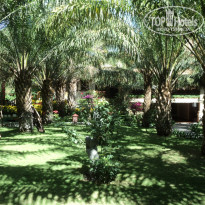 фото из отзыва ID 1535176