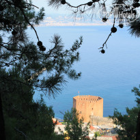 фото из отзыва ID 1537552