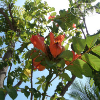 фото из отзыва ID 1532719