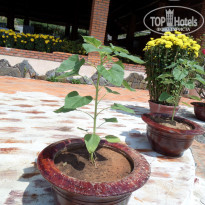 фото из отзыва ID 1532719