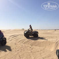 фото из отзыва ID 1534391