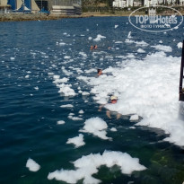 фото из отзыва ID 1538858