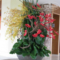 фото из отзыва ID 154150