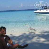 фото из отзыва ID 154226