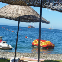 фото из отзыва ID 154882