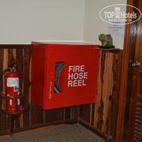 фото из отзыва ID 1540189