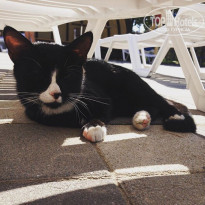 фото из отзыва ID 1540299