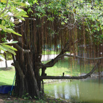 фото из отзыва ID 1540489